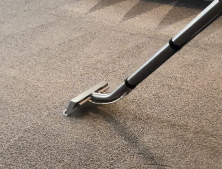 Carpet Cleaning