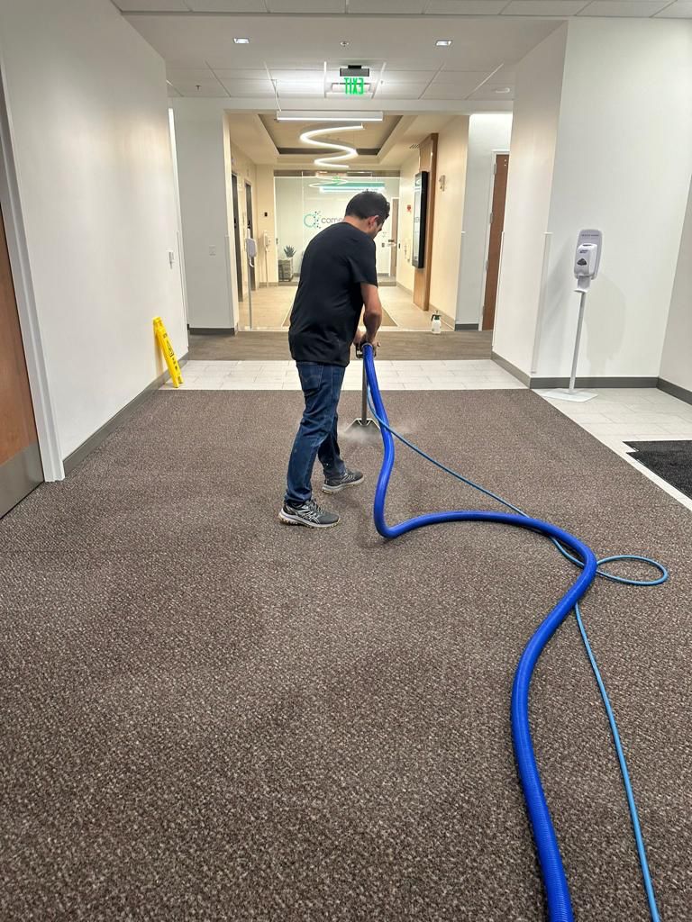 Commercial Carpet Cleaning 5