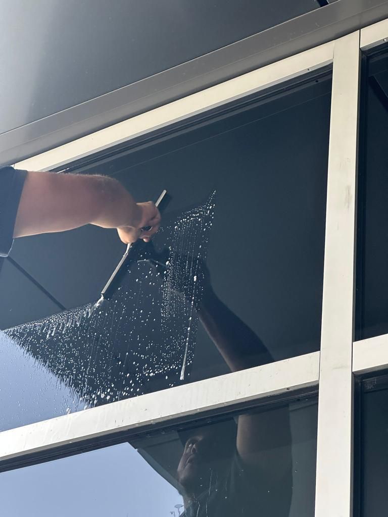 Window Washing 6